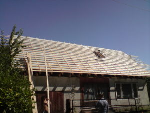 Kiisa