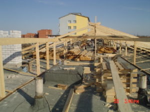 Tammsaare tee
